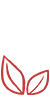 節約成本